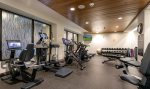 Gym - The Lion Vail